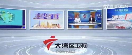 大湾区卫视爆料新闻,重大新闻事件深度解析  第3张