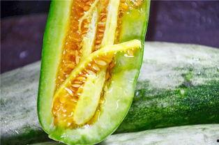 吃瓜原创网红,揭秘吃瓜原创网红的爆红之路  第2张