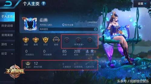 王者宋文爆料视频下载免费,揭秘游戏幕后精彩瞬间  第2张