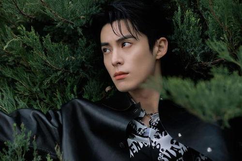 娱乐爆料王鹤棣的恋情,甜蜜互动引粉丝热议  第2张