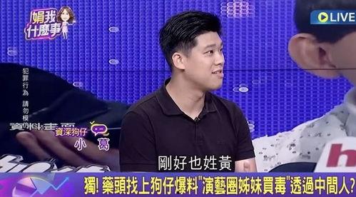 廖玮琪最新爆料,揭秘娱乐圈惊人内幕  第2张