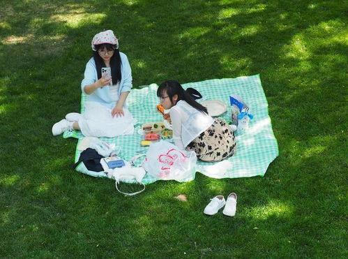 树荫在线观看,在线观看的视觉盛宴  第2张