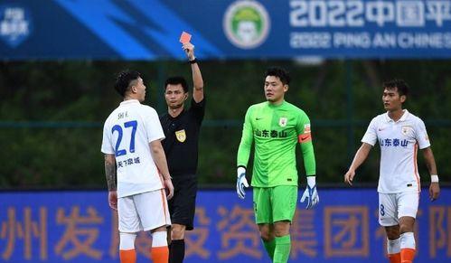 泰山郝伟爆料案件最新,揭秘背后惊人真相  第2张