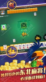 吉林打麻将爆料视频,揭秘爆料视频背后的精彩瞬间  第2张