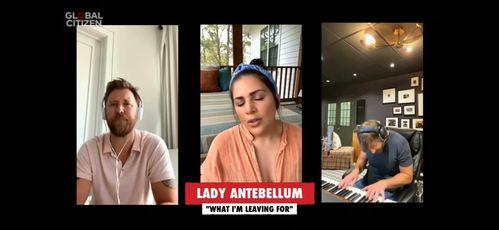 国外明星狗仔爆料视频播放,国外明星萌宠日常大揭秘  第3张